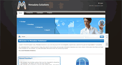 Desktop Screenshot of metadatasolutionsllc.com